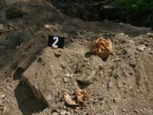 Descoperire macabră la Vadu Moldovei: mai multe fragmente de oase umane