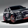 Audi prezintă un concept special bazat pe Q5