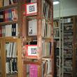 Biblioteca Muzeului Bucovinei