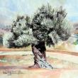 „Bătrânul măslin”, pictat de Cătălin Alexandru Chifan, va fi expus în Grecia, Tunisia şi Elveţia