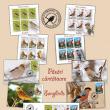 Emisiunea de mărci poştale „Păsări cântătoare”