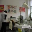 Cabinetele stomatologice şcolare din municipiul Suceava au fost verificate de inspectorii Direcţiei de Sănătate Publică. Foto: clujeanul.gandul.info