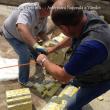 Cele peste 100.000 de pachete de ţigări de contrabandă aduse în România din Ucraina într-un transport de buşteni
