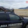 Cherestea de peste 40.000 de lei, confiscată de garda Forestieră Suceava