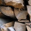 Întreaga cantitate de 27,72 metri cubi de lemn de fag, în valoare de 3.825,36 lei, a fost confiscată