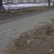 Așa arată drumul judeţean 208 A, la Ipotești