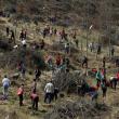 Campania „Hai la înverzit” a mobilizat ]n fiecare an o mulţime de voluntari
