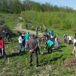 Elevii au plantat 1.000 de arbori la Mihoveni