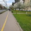 Trotuarele din Suceava vor fi reparate până în 2020 de firma Symmetrica