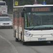 Şoferul autobuzului a frânat brusc