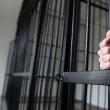 Bărbatul agresiv a ajuns în spatele gratiilor, pentru o perioada de 30 de zile