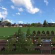 Proiectul de reabilitare a aleilor Parcului Vladimir Florea