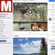 Pagina Monitorul de Suceava are peste 200.000 de fani