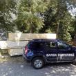 Cherestea de aproape 20.000 de lei, confiscată la Cornu Luncii