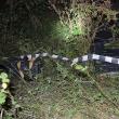 Colete abandonate în apropiere de frontieră, la Siret
