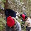 Acţiuni de igienizare şi refacere a marcajelor, desfăşurate de studenţii USV în Parcul Naţional Călimani