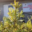 Dezvoltarea de ateliere noi în cadrul Centrului socio-vocaţional de zi Siret printr-un proiect derulat de Fundaţia „O Nouă Viaţă”