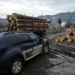 Sute de controale şi verificări efectuate de Garda Forestieră Suceava la Moldoviţa, în ultimii patru ani