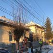 Campanie de cosmetizare a arborilor de pe domeniul public, la Rădăuţi
