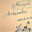 Proiectul cultural „Muzeul scrisului de mână”, implementat la Suceava