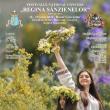 Festivalul Național Concurs „Regina Sânzienelor”, ediția a VIII-a