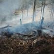 De la începutul anului, în fondul forestier de stat administrat de RNP s-au înregistrat 281 de incendii