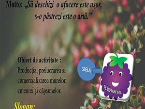 „Firma de exercițiu”, un exercițiu eficient pentru acces în lumea afacerilor