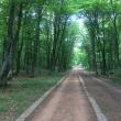 În viața noastră suntem ispitiți să credem că trebuie să fim tot timpul ocupați