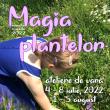 Atelierul de educație muzeală „Magia Plantelor”, la Muzeul de Științele Naturii