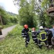 Vițel salvat de pompieri după ce a căzut într-o fosă septică