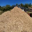 Controalele efectuate la sediul a doua firme de prelucrare a masei lemnoase au dus la aplicarea unor sancțiuni de 70.000 de lei