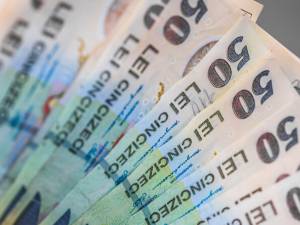 Suma de 2.277,58 de lei a fost recuperată de statul român de la 12 persoane cu handicap din județul Suceava