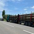 Autotren supraîncărcat cu lemne oprit în urma sesizării activiștilor de mediu