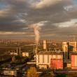 Bioenergy Suceava