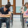 Premii în bani pentru elevii de 10