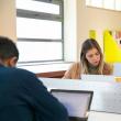 Corectarea tezelor ar urma să fie făcută digital