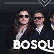 Revelion în aer liber la Suceava, cu Anda Adam, Bosquito, Medvedi, muzică populară și focuri de artificii