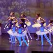 Omnia Ballet Suceava