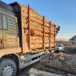 Sancțiuni de peste 80.000 lei pentru transporturi fictive de masă lemnoasă și diferențe în stocuri, la Sucevița