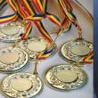 Olimpicii suceveni vor fi premiați marți, la Teatrul Municipal, în cadrul unui eveniment moderat de Andreea Marin