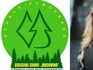 Invitați din peste 20 de țări vor scrie „Bucovina” cu puieți de molid, la poalele Rarăului