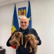 Primăria Suceava are doi locatari noi: primarul Vasile Rîmbu a adoptat două pisici