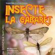 „Insecte la Cabaret”, expoziție la Muzeul de Științele Naturii Suceava