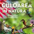 „Culoarea în natură”, expoziție temporară la Muzeul de Științele Naturii din Suceava