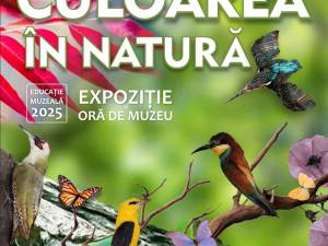 „Culoarea în natură”, expoziție temporară la Muzeul de Științele Naturii din Suceava