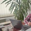 Doctorul Sorin Mihai Voloșeniuc, directorul executiv al Direcției Sanitar Veterinare și pentru Siguranța Alimentelor Suceava