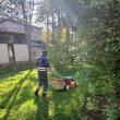 Primăria Municipiului Suceava demarează acțiunea de cosire a spațiilor verzi de printre blocuri