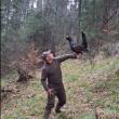Cristian Doroftiesei a revenit la prietenul său, cocoșul de munte din Călimani