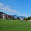 Program de psihologie sportivă dedicat antrenorilor de rugby din Suceava, derulat de Fundația Te Aud Romania