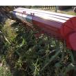 Pentru data de 25 aprilie cu foto SEMĂNĂTOARE (2)